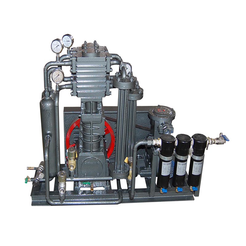 Biogas compressor