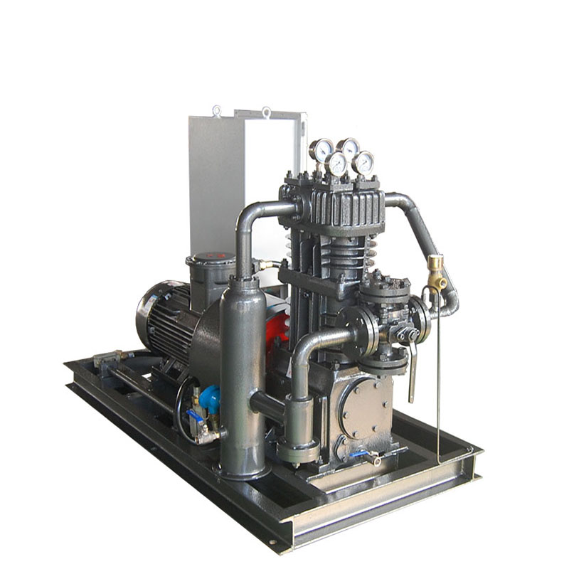 Vinyl chloride compressor